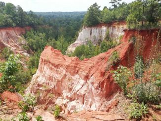 Providence Canyon, il dipinto naturale dalle 43 sfumature