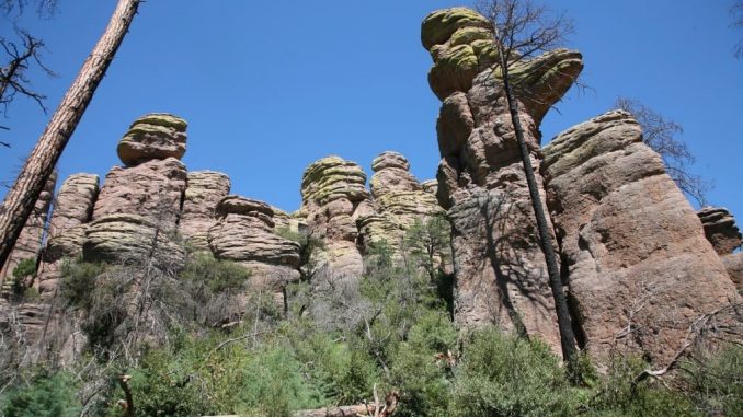 Chiricahua National Monument